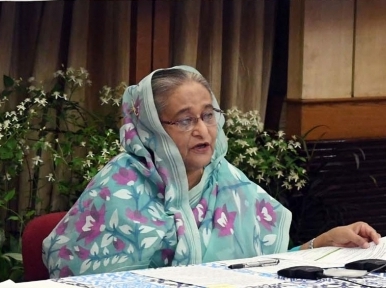 Hasina shares special information on Tulip named